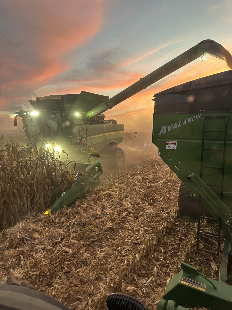 Nave Analytics, Inc. tweet media