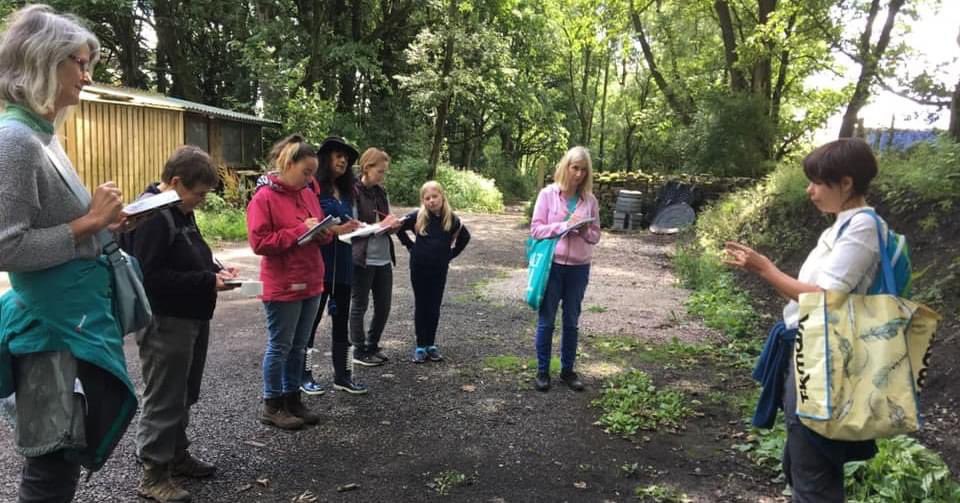 Four places have just become available on this Saturday morning's herbal medicine walk through Brinscall woods (10 - 12). Book here if you'd like to join us: wildwooddays.co.uk/event/herbal-m…