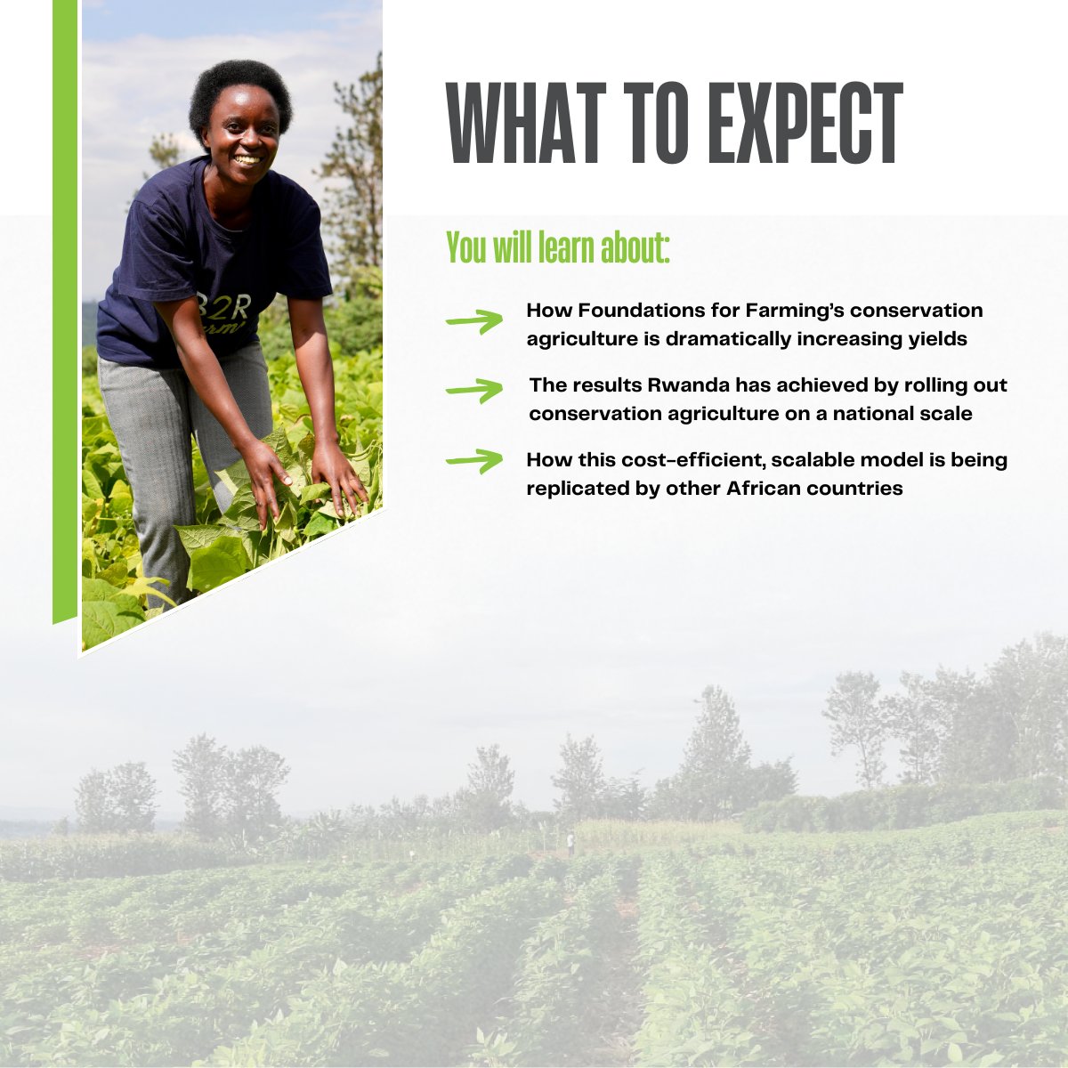 B2RFarms's tweet photo. Join us October 16 for a discussion on how Foundations for Farming’s conservation agriculture is dramatically increasing yields in Rwanda and how this cost-efficient, scalable model is being replicated by other African countries. Register here: https://t.co/9s1XOLPU3C https://t.co/61BN2TYPcK