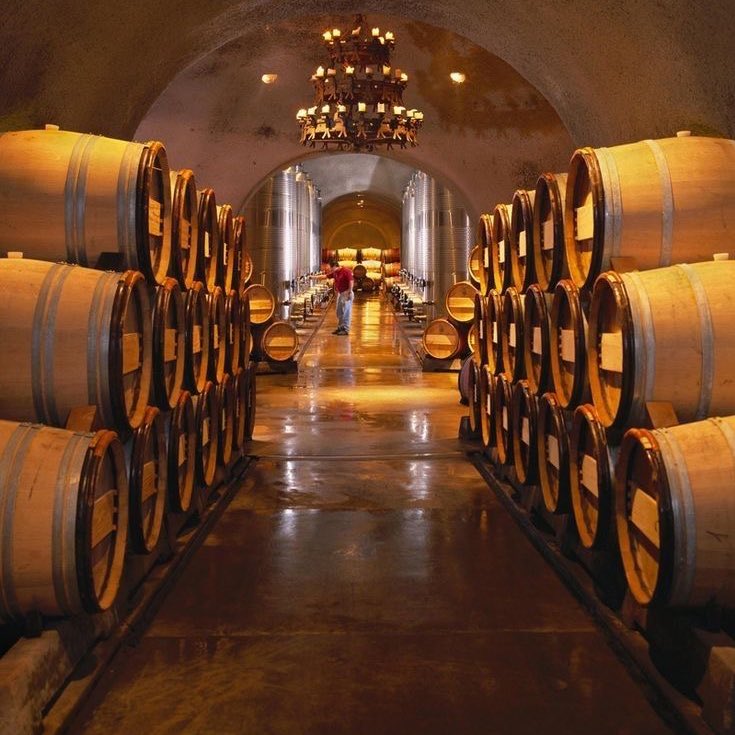 “Ruta del vino”
 El plan perfecto.