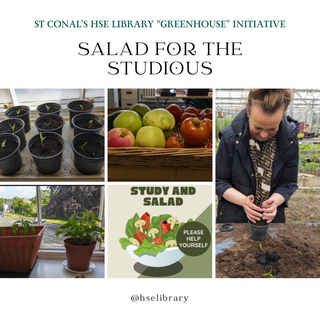 hselibrary's tweet image. 🌱 St. Conal’s Library “Greenhouse” Initiative 🌿
In 2023/24, St. Conal’s Library transformed into a more comfortable and healthy study space with sit/stand desks, natural light, and even homegrown produce! 🍅
#hselibrary #LibraryGreenhouse #GreenLibrary @Hohoyanna @LibrariesIre
