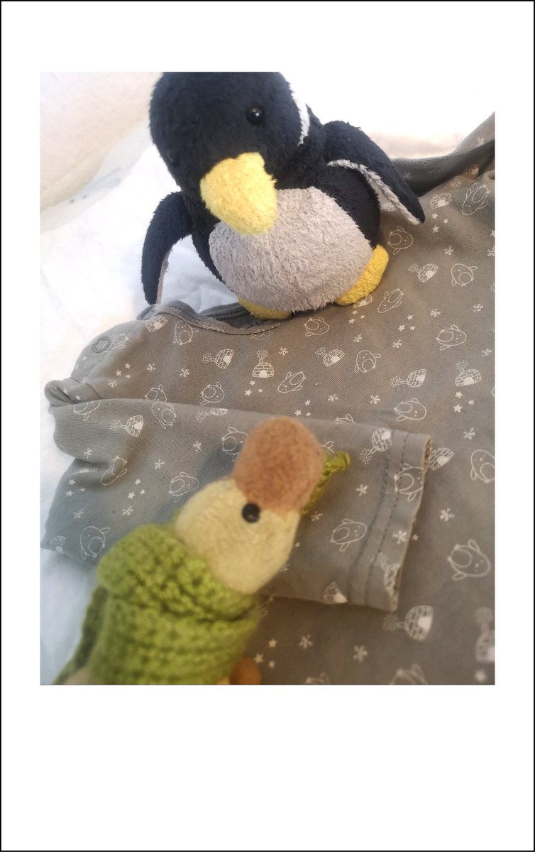 Guck Mal <a href="/Flori_penguin/">Flori & Konrad</a> mein Kuschelmensch hat für MiniWolfie eines deiner Geschwister gefunden 😍😍
Und das Shirt gab's dazu! Ganz im Pinguin-Style!