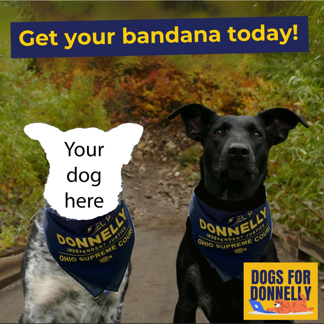 Donnelly4Ohio tweet picture