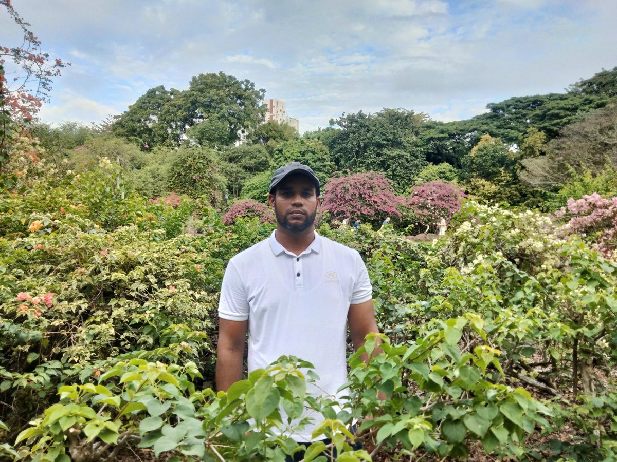 <a href="/ranarubel2015/">RANA</a>