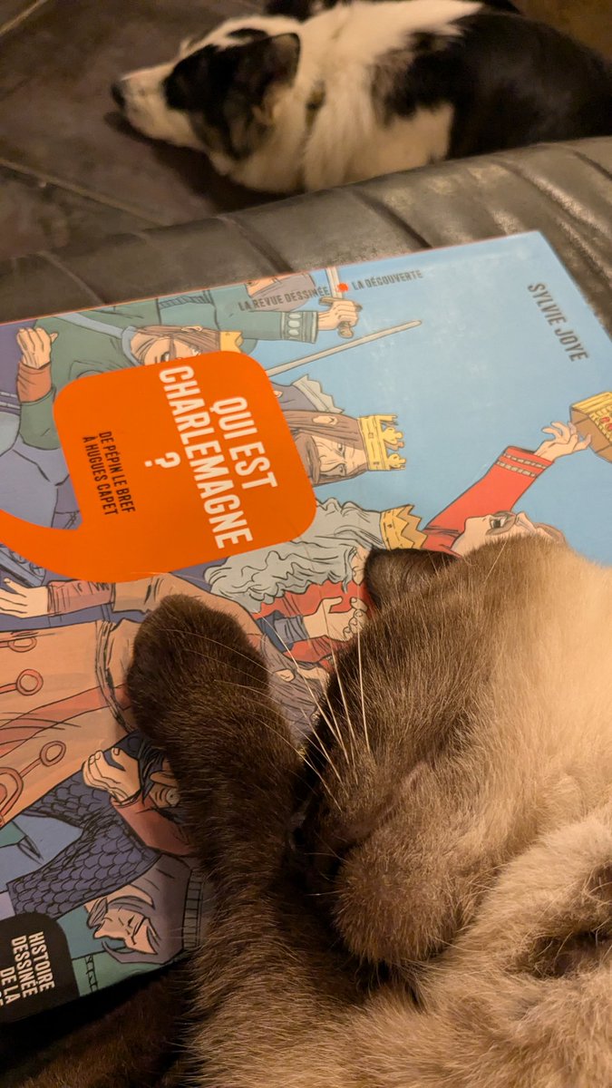 MayaPont's tweet image. Remise en jambe 5eH1 
Toujours bon de penser à L'histoire dessinée de la France et aux Belin France ...
Validation canine et féline en prime 🐾