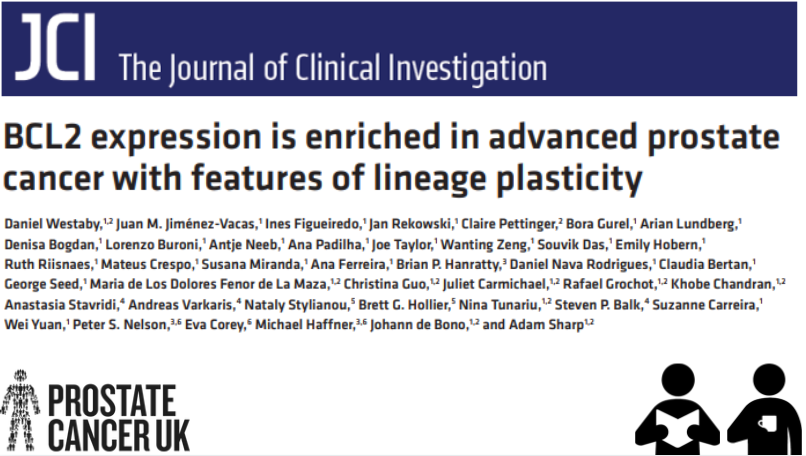 ProstateUK Profs (@prostateukprofs) on Twitter photo There's an urgent need to identify new treatment targets in advanced #prostatecancer
A fantastic new study in <a href="/jclinicalinvest/">Journal of Clinical Investigation</a> led by <a href="/AdamSharpMedOnc/">Adam Sharp</a> from <a href="/ICR_London/">The ICR</a> highlights BCL2 as a promising personalised treatment target.
Grab a ☕ and read: bit.ly/3XEavf5 There's an urgent need to identify new treatment targets in advanced #prostatecancer
A fantastic new study in <a href="/jclinicalinvest/">Journal of Clinical Investigation</a> led by <a href="/AdamSharpMedOnc/">Adam Sharp</a> from <a href="/ICR_London/">The ICR</a> highlights BCL2 as a promising personalised treatment target.
Grab a ☕ and read: bit.ly/3XEavf5