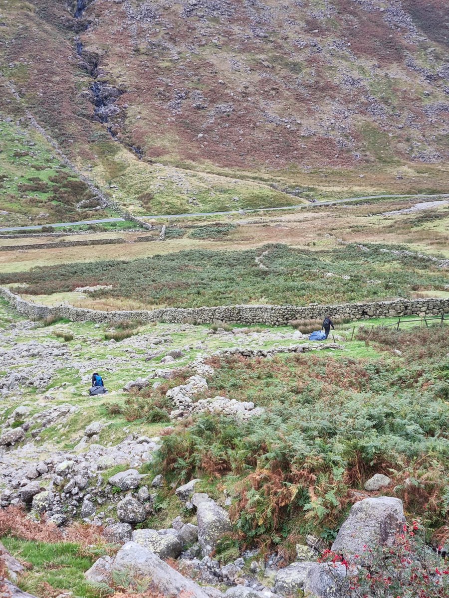 Restoring Hardknott Forest tweet media