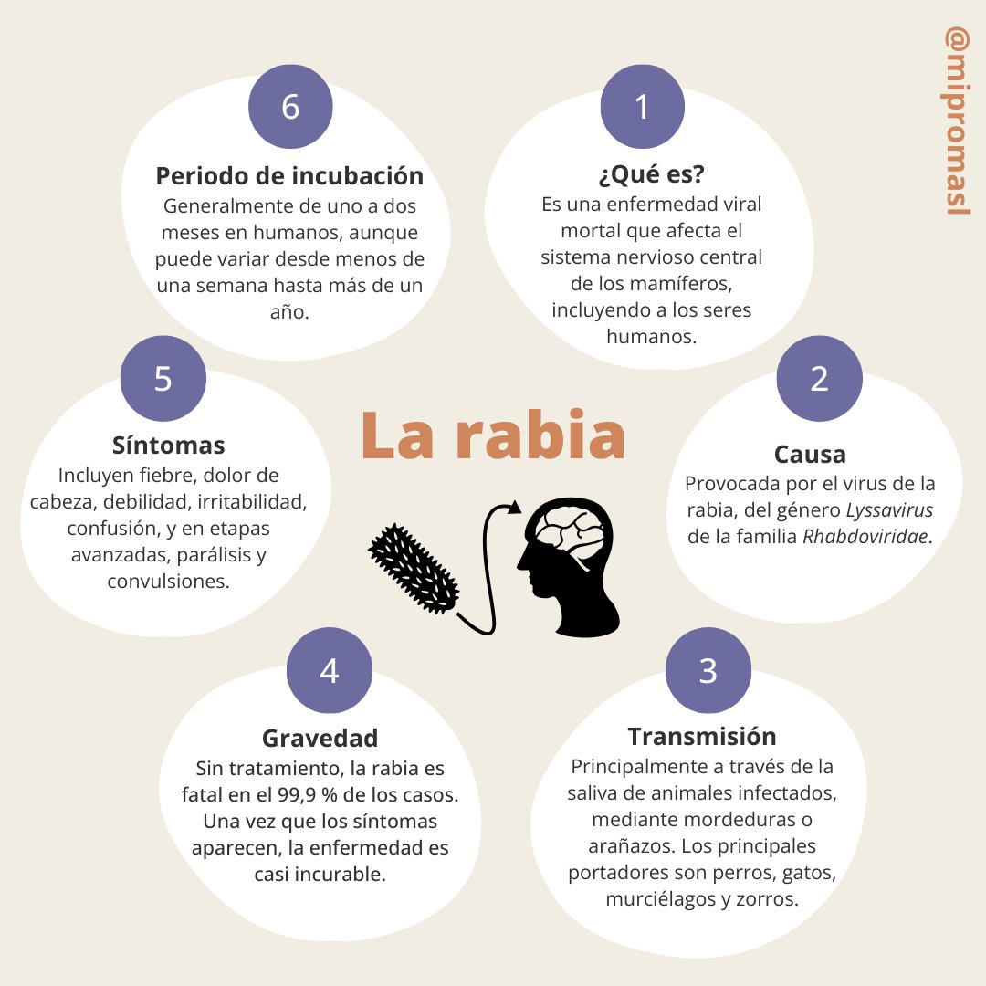 Miproma's tweet photo. La rabia sigue siendo una enfermedad letal, pero prevenible. 🚨🐶

Conocer los síntomas, las formas de transmisión y las medidas de prevención es clave para proteger a nuestra familia🏡 y mascotas🐾. 

¡Todos los detalles en nuestra infografía! 📊

#PrevencionRabia #SaludPublica https://t.co/FPYXqfBM4u