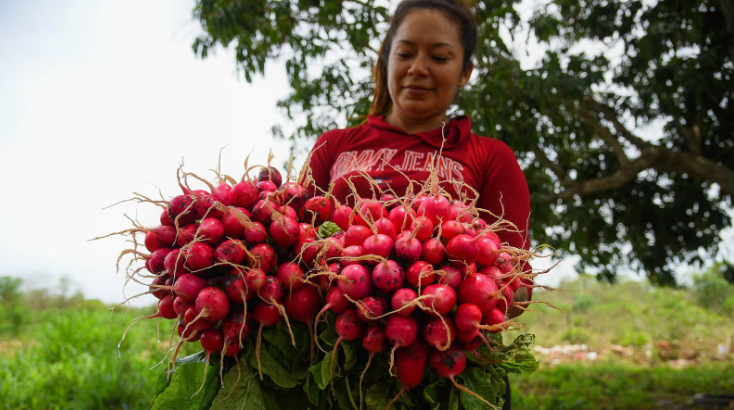 RRNoticiasqro's tweet image. 🔴#Nacionales🔴 La economía muestra avances en julio gracias al sector agropecuario

Entérate aquí 👉wp.me/p4bL4K-1y03
#debilidad #incertidumbre #inversiones #riesgos #elevada #agropecuario