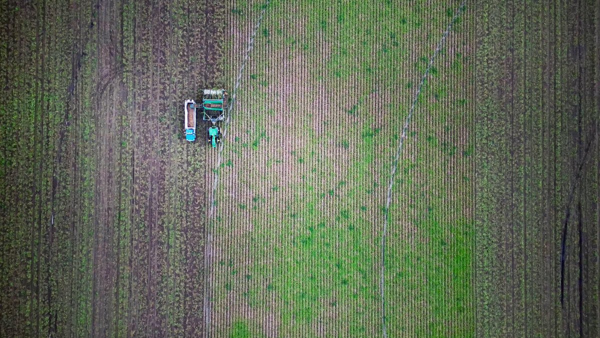 #Harvest24 #albertapotatoes <a href="/voss_ag/">Adam Voss</a>