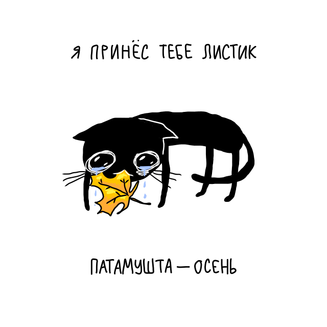 Cat tweet media