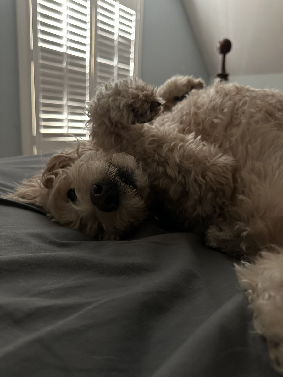 Josh Burns Tech tweet media