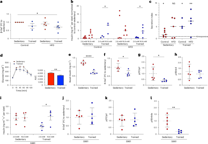 Online now! Exercise activates AMPK in mouse and human pancreatic islets to decrease senescence dlvr.it/TDdSlb