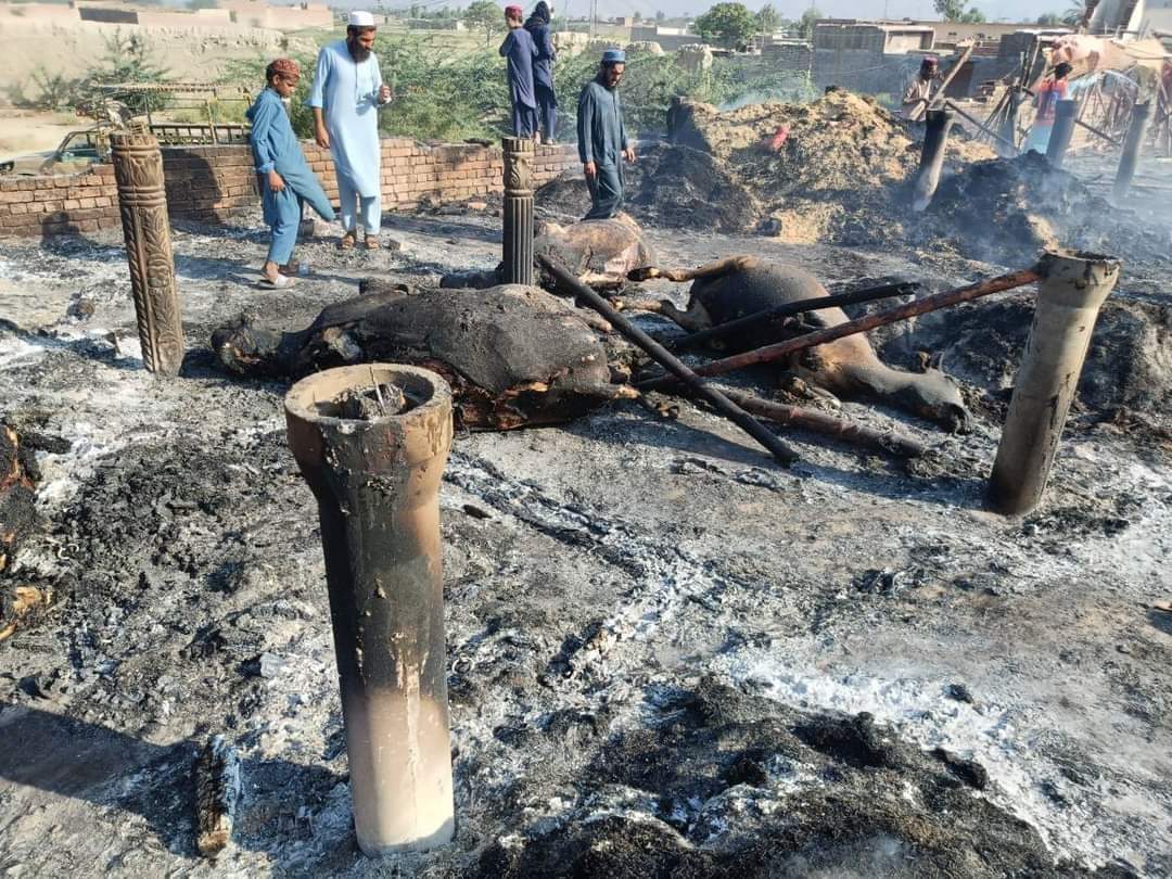 DanishPascal's tweet image. #MirAliBarbarism #waziristan