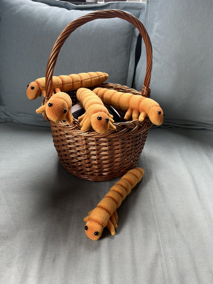 Cindysartnl's tweet photo. A basket full of mealworm hugbugs
#entomology #sciart #mealworm #meeltor #tenebrio #hugbug https://t.co/iw6ctT9Fws