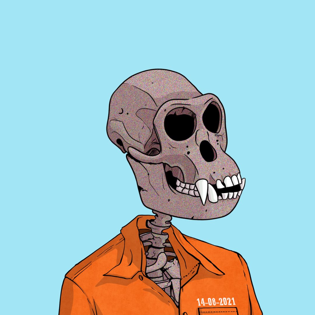 Boners will prison break in style! 🪽

Read between the lines 👀

Stay Wicked 🦴