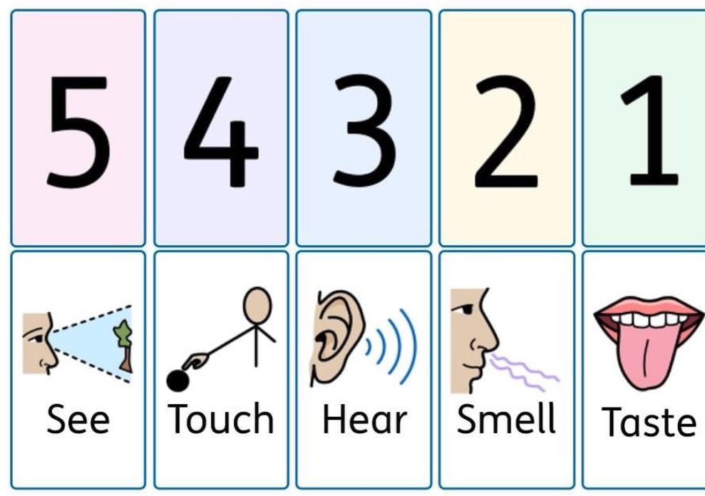 WoodbridgeSEND's tweet image. Grounding Technique to support deescalation &amp;amp; regulation
Help your child feel calm &amp;amp; focused with this fun, simple exercise:
👀 5 Things You Can See
🖐️ 4 Things You Can Touch
👂 3 Things You Can Hear
👃 2 Things You Can Smell
👅 1 Thing You Can Taste

 #MindfulnessForKids