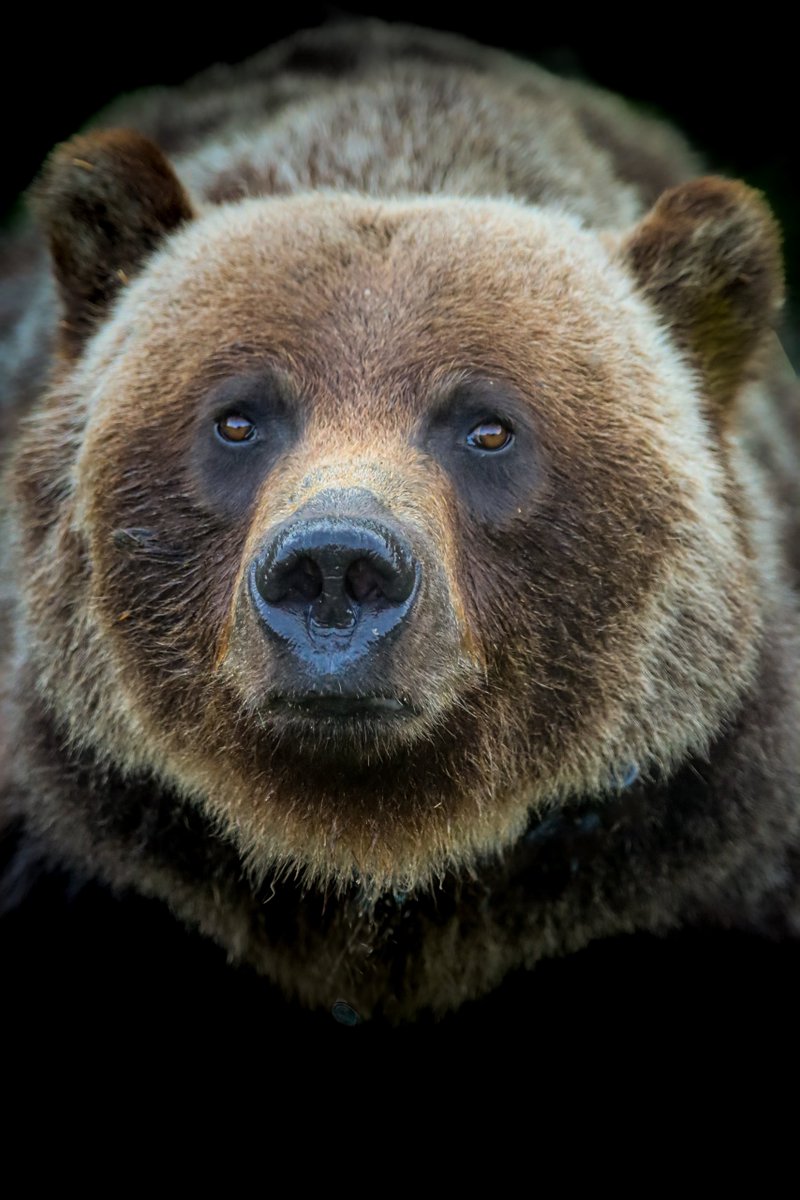 Hey palo’s how is everyone doing here in the Twitter Verse?