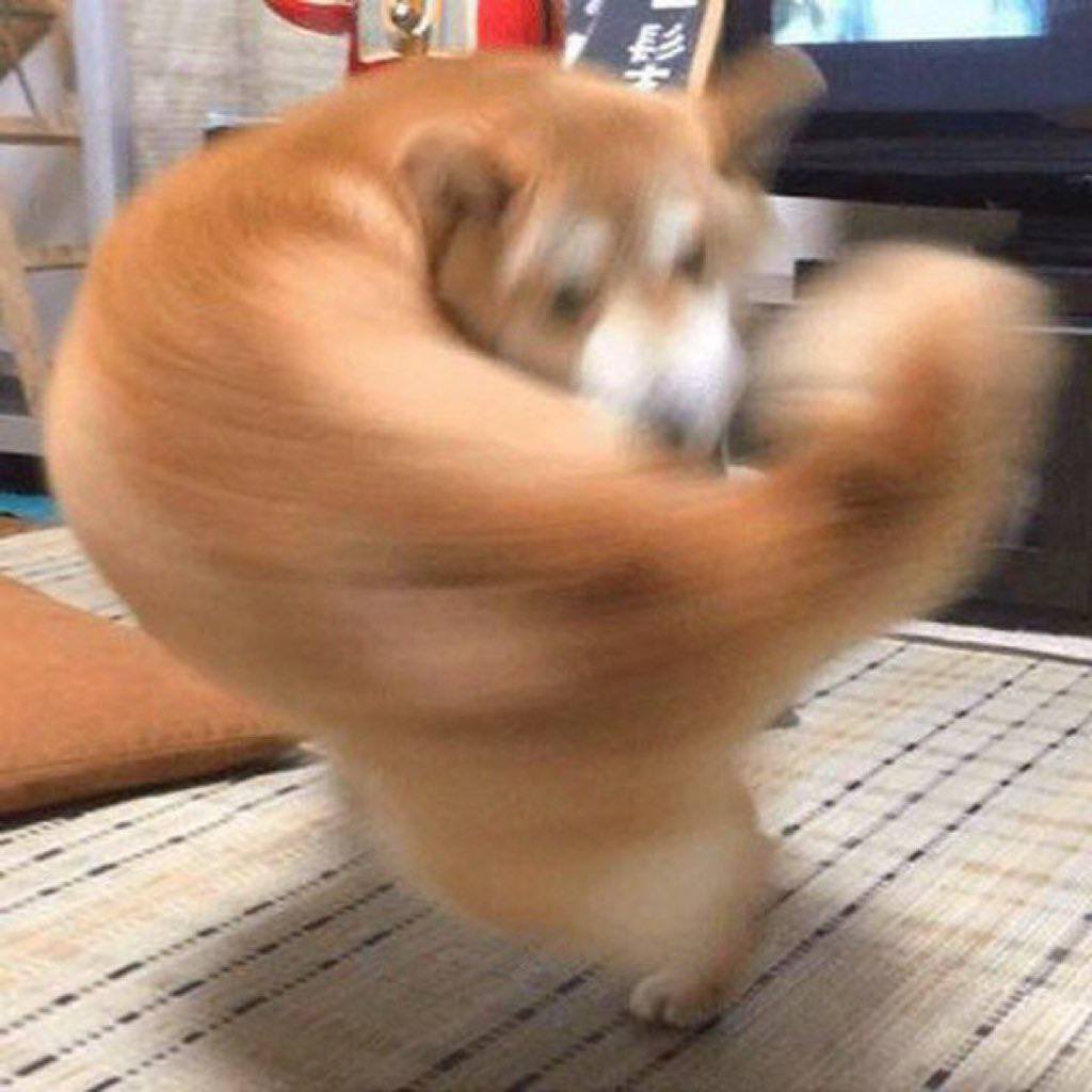 Don’t mess with a fighter that has conviction. Jeets just got hooked