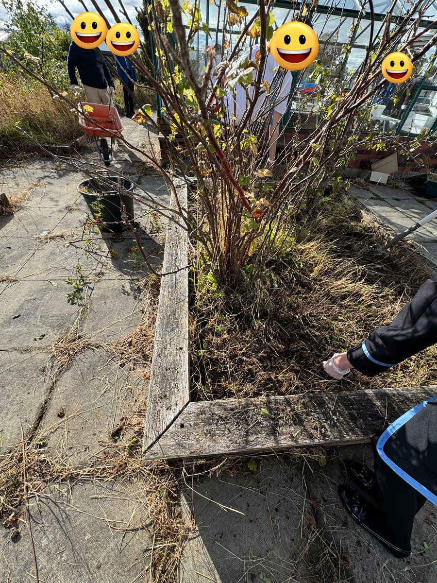 More progress pictures of the greenhouse project. Lots of hard work shown today by the Sustainability class trying to bring it back to life! 🍀🌿 #Sustainability #teacher #projectbasedlearning @DunblaneHS