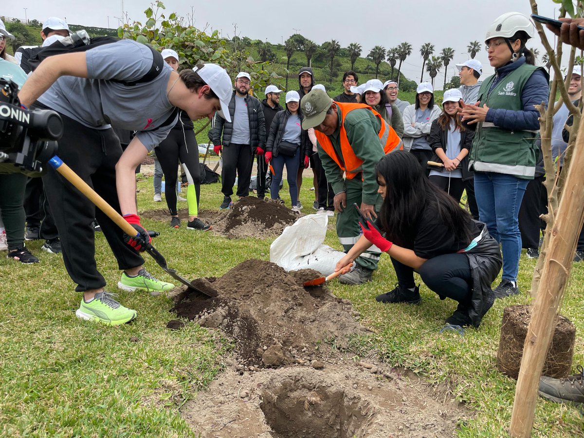 munisanisidro's tweet photo. PLANTAMOS 78 ÁRBOLES EN EL BOSQUE DEL BICENTENARIO! 🌳🌱
En #SanIsidro, cuidamos el planeta y protegemos la naturaleza. Nuevas plantas crecen en la zona de playa de San Isidro gracias al trabajo en conjunto con @sinbaperu  y @PUMAPeru. ¡San Isidro, distrito ecológico! ♻️ https://t.co/W3m5ZW8Vzp
