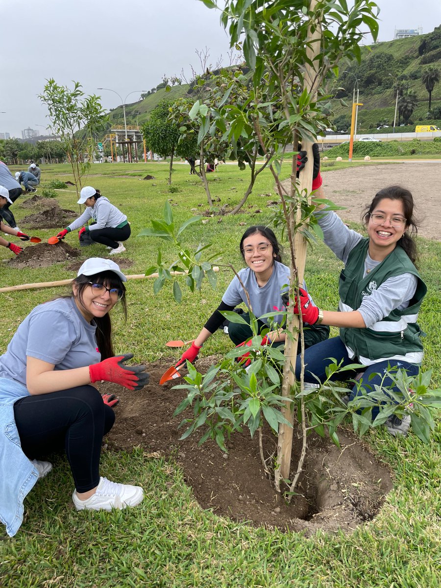 munisanisidro's tweet photo. PLANTAMOS 78 ÁRBOLES EN EL BOSQUE DEL BICENTENARIO! 🌳🌱
En #SanIsidro, cuidamos el planeta y protegemos la naturaleza. Nuevas plantas crecen en la zona de playa de San Isidro gracias al trabajo en conjunto con @sinbaperu  y @PUMAPeru. ¡San Isidro, distrito ecológico! ♻️ https://t.co/W3m5ZW8Vzp