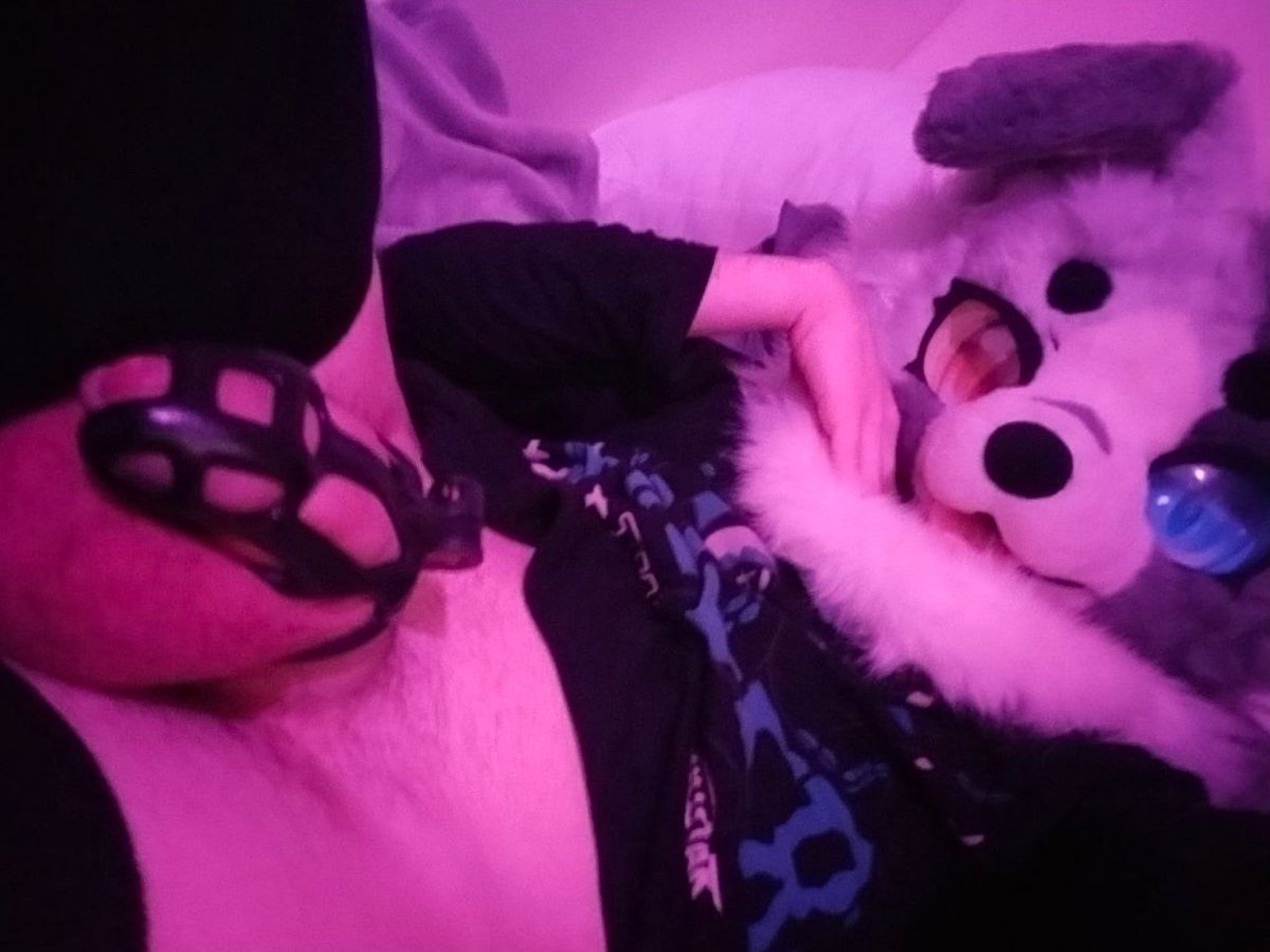 doeBreed's tweet image. So uh, Doing this again :)
(I def didn't fuck up the end date)

You decide how long I'm locked up for......again
❤️= +2 hours
🔁 = +4 hours
🗨 = +8 hours (Limited to 1 comment per account)
+🙍 = +12 hours

If I hit 1k followers, I'll add 5 days.

Ends on the 27th of September