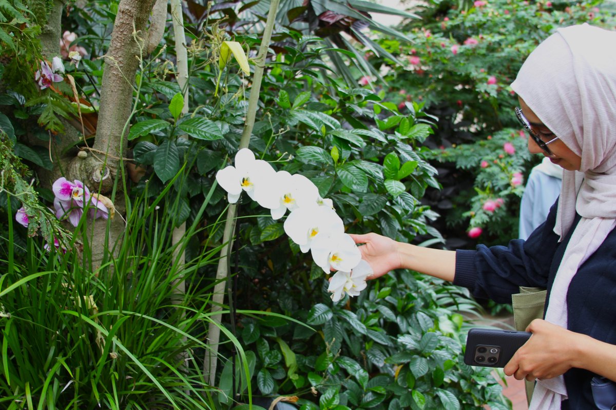 Smithsonian Global tweet media