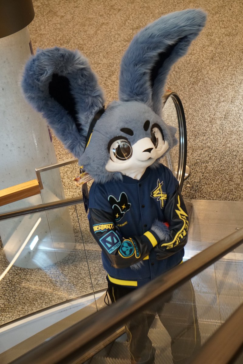 Leithey_'s tweet photo. I had an amazing time at #EF28, thank you to everyone who I got to meet and see again, this year was truly special! <3 
I had such an blast wearing my self-made fursuit of my sona at a large convention!
(PS my first suit walked around too! Hope that didn't fool too many~) https://t.co/aNx4dIMsko