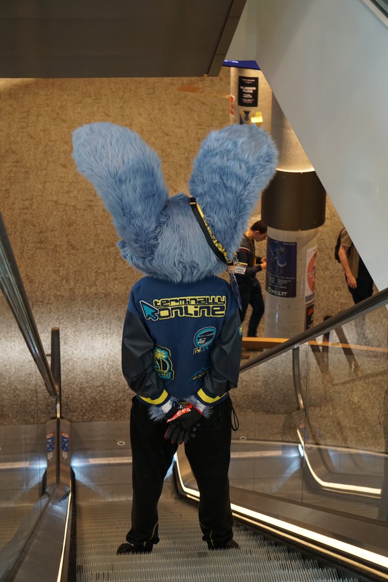 I had an amazing time at #EF28, thank you to everyone who I got to meet and see again, this year was truly special! &lt;3 
I had such an blast wearing my self-made fursuit of my sona at a large convention!
(PS my first suit walked around too! Hope that didn't fool too many~)