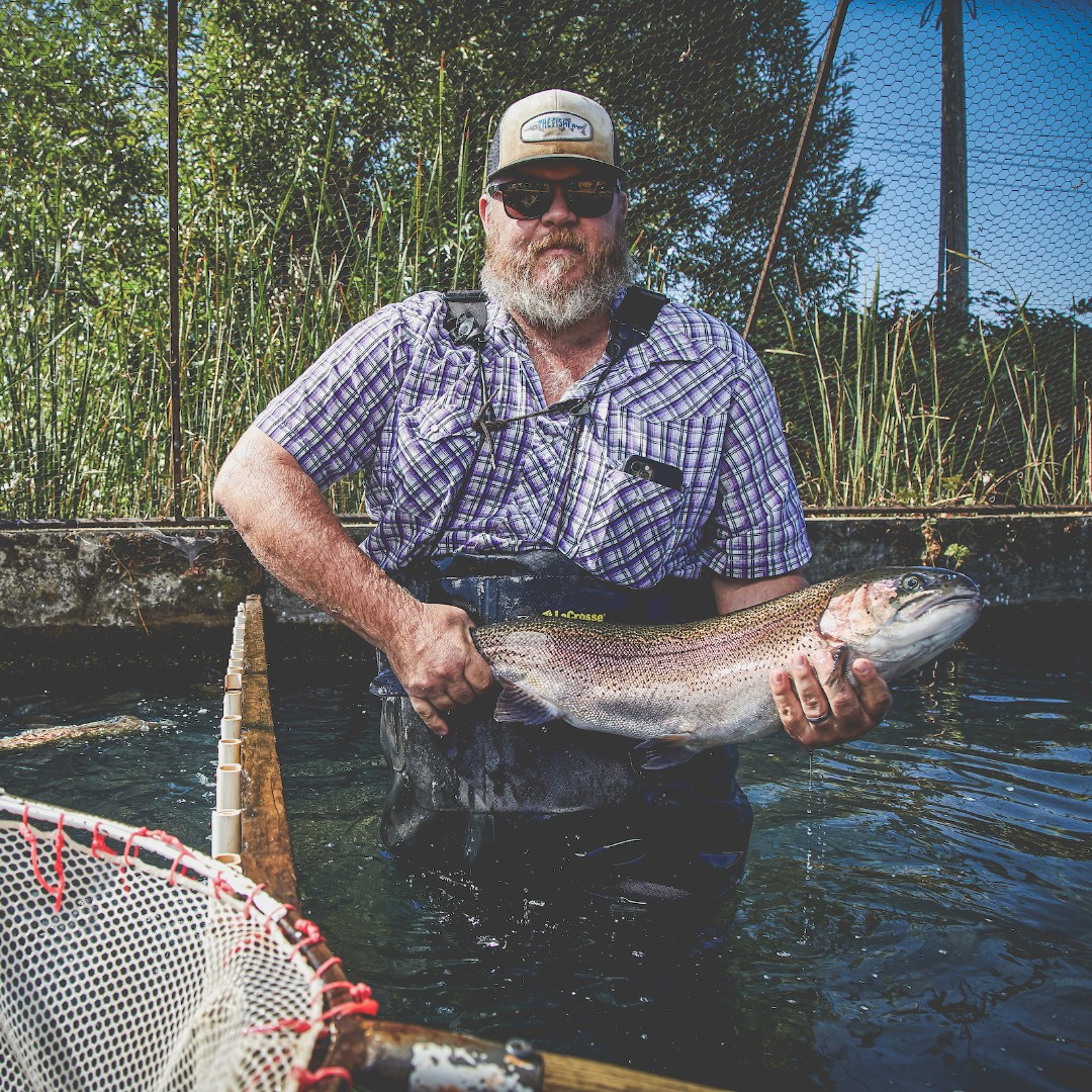 USAquaculture_'s tweet photo. Since 1949, the farmers at Mt. Lassen California Trout and Steelhead have produced excellent trout &amp; steelhead in the mountain spring waters of northern CA. #usaquaculture #CaliforniaGrown #TroutFarmers  #trout #americasfish #ustroutfarmers  #eattrout #troutfinder #ustfa https://t.co/KttiUZtuzJ