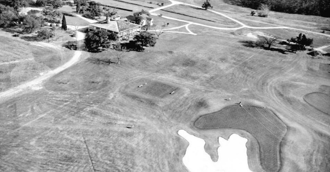 Tyler Rae tweet media