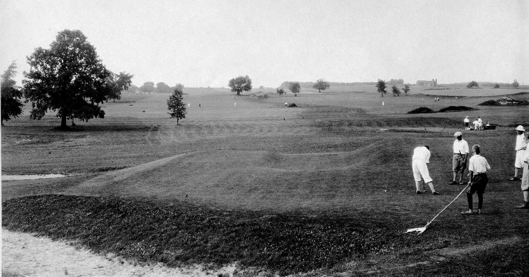 Tyler Rae tweet media