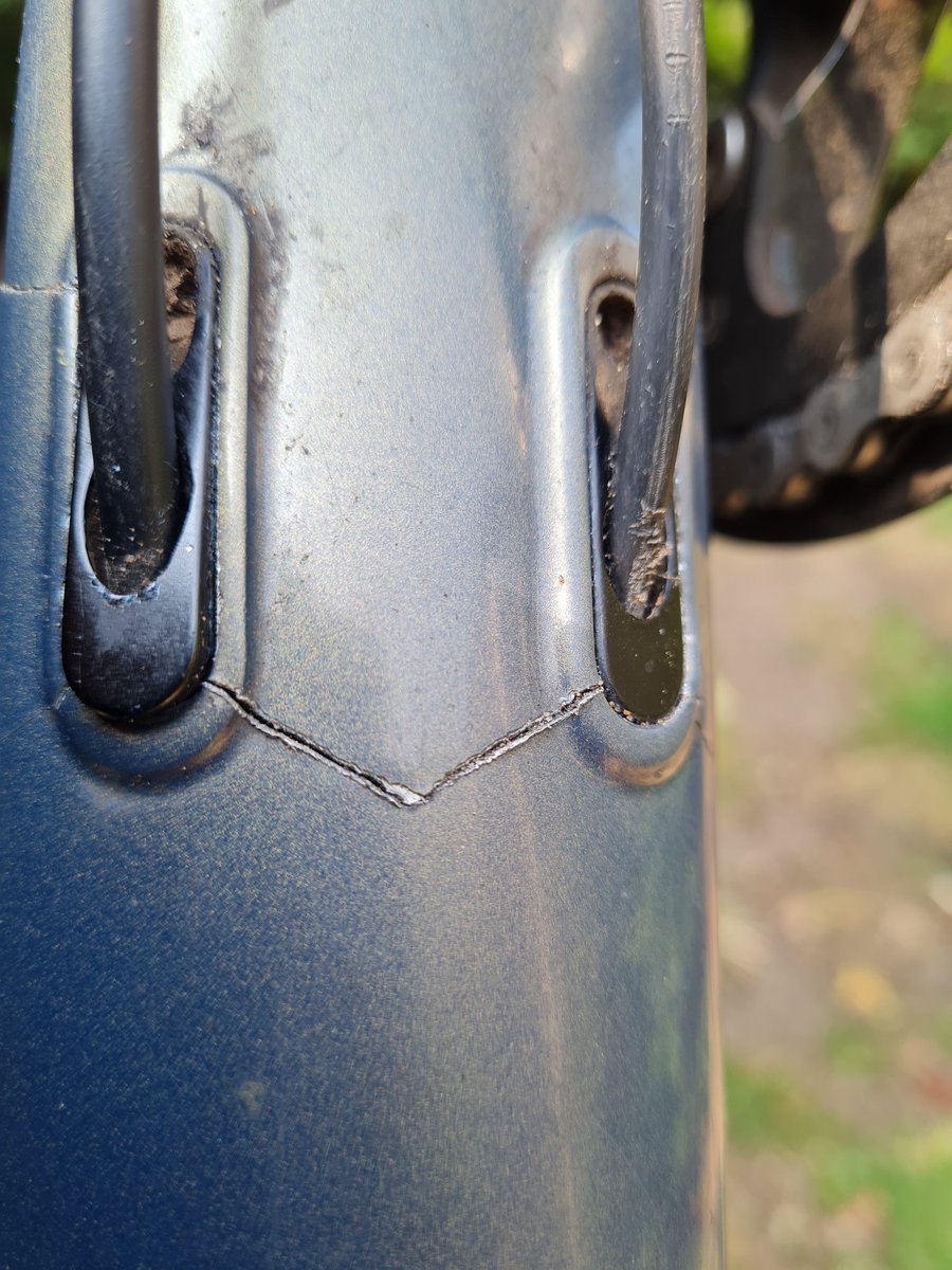 Steiner #RejoinEU 🇪🇺 tweet media