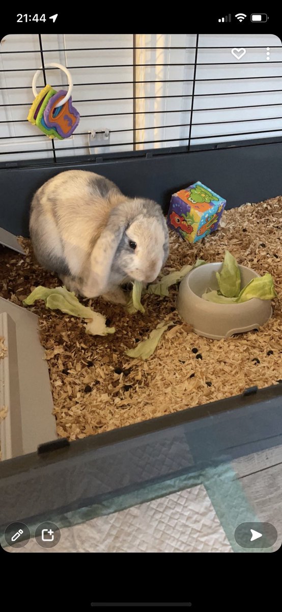 Mrs Constable tweet media