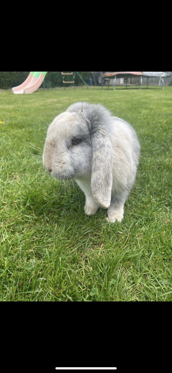 Mrs Constable tweet media