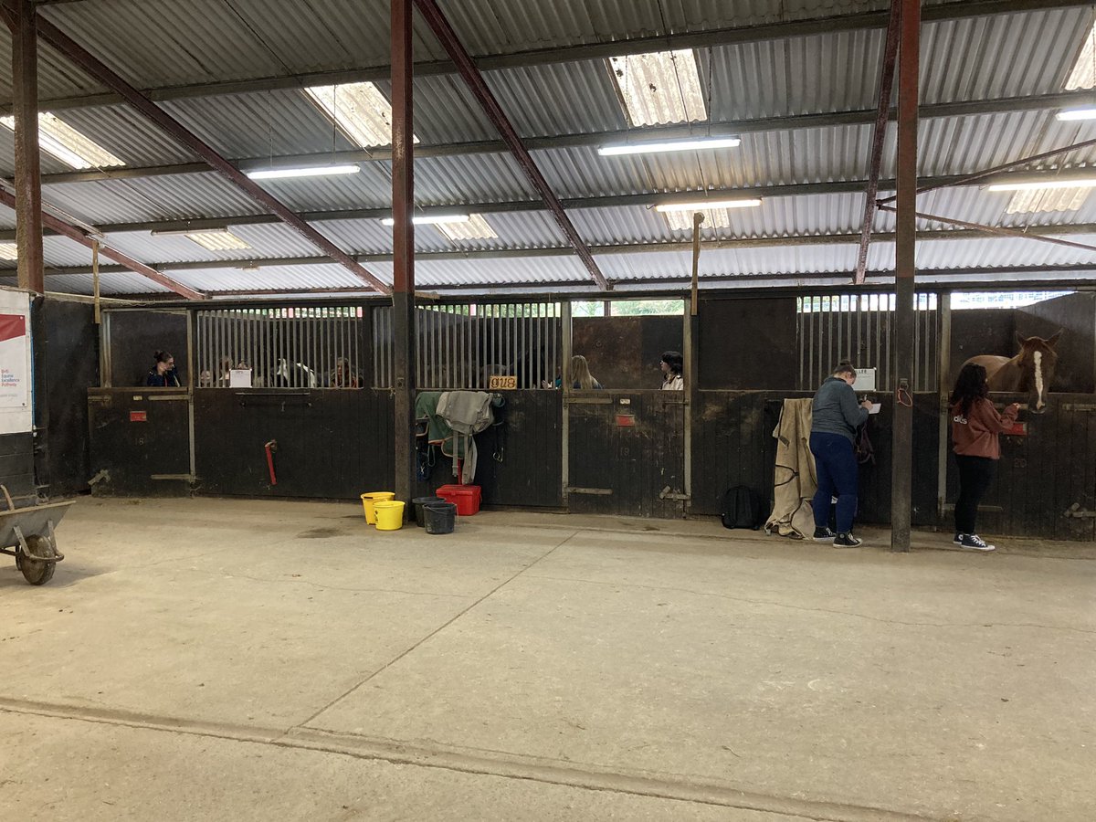As we do every year, we welcomed our new BSc Equine Vet Bioscience, Veterinary Bioscience and Animal Science students by introducing them to important team members, our horses, at the equine centre. Students carried out out simple but important tasks such as body weight measures