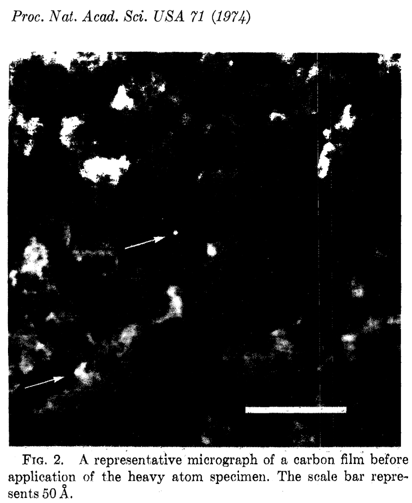 David A Muller tweet media