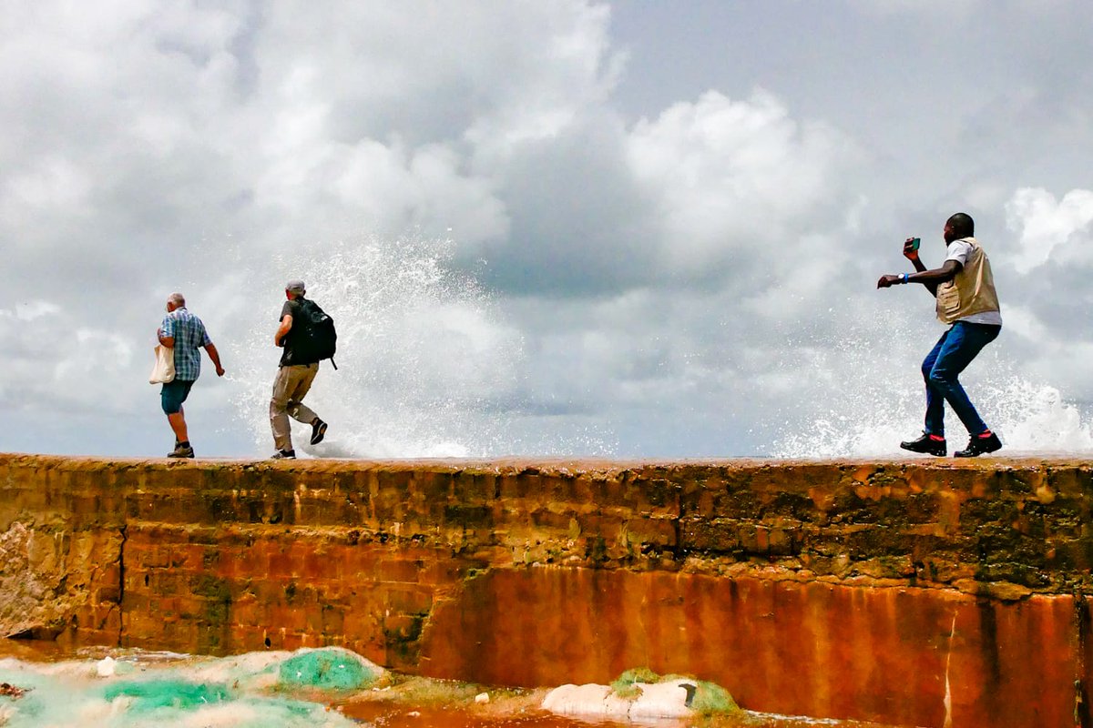 Had pleasant moments in #CAP2024 in #Senegal, visited a critical wetland  rich in avifauna. Over 58 species were recorded in one trip. ebird.org/checklist/S193… <a href="/BirdLife_News/">BirdLife International</a> <a href="/nature_rwanda/">Nature Rwanda</a> <a href="/inaturalist/">iNaturalist</a> <a href="/BirdLifeAfrica/">BirdLife Africa</a> #MotherNatureStories #MotherNature
📸: Charlotte Boyd