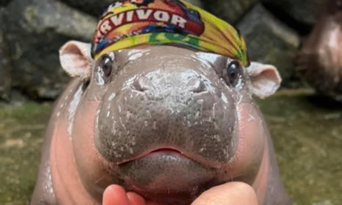 <a href="/anikaleia_/">Anika Leia Dhar</a> done poorly on my phone but. here u go queen