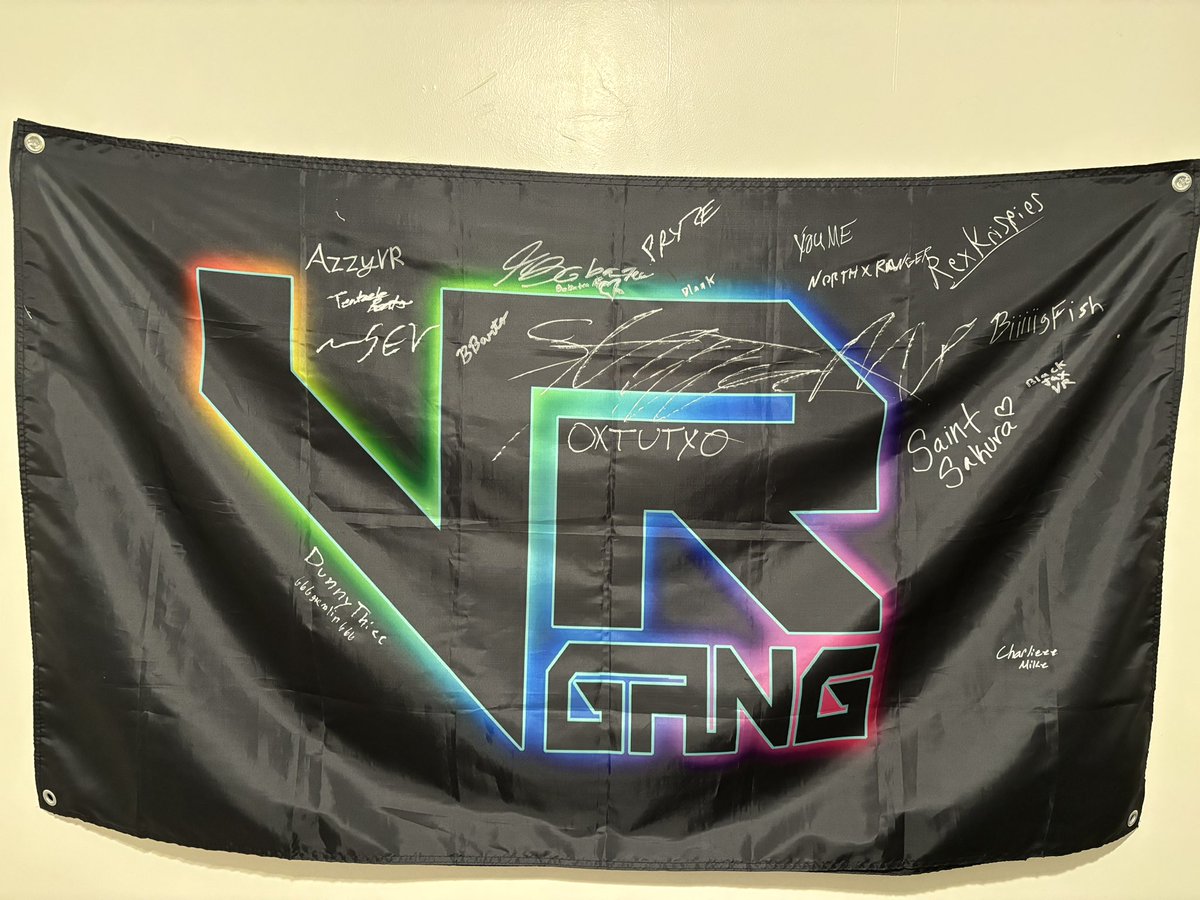 AzzyVR's tweet photo. All the memories and getting to hang with all my friends it was something I’ve been looking forward for all year. Thank you everyone, I wished I got everyone to sign it but I’ll make it my future goal ❤️ @TwitchVRGang https://t.co/k6nVVmRSGo