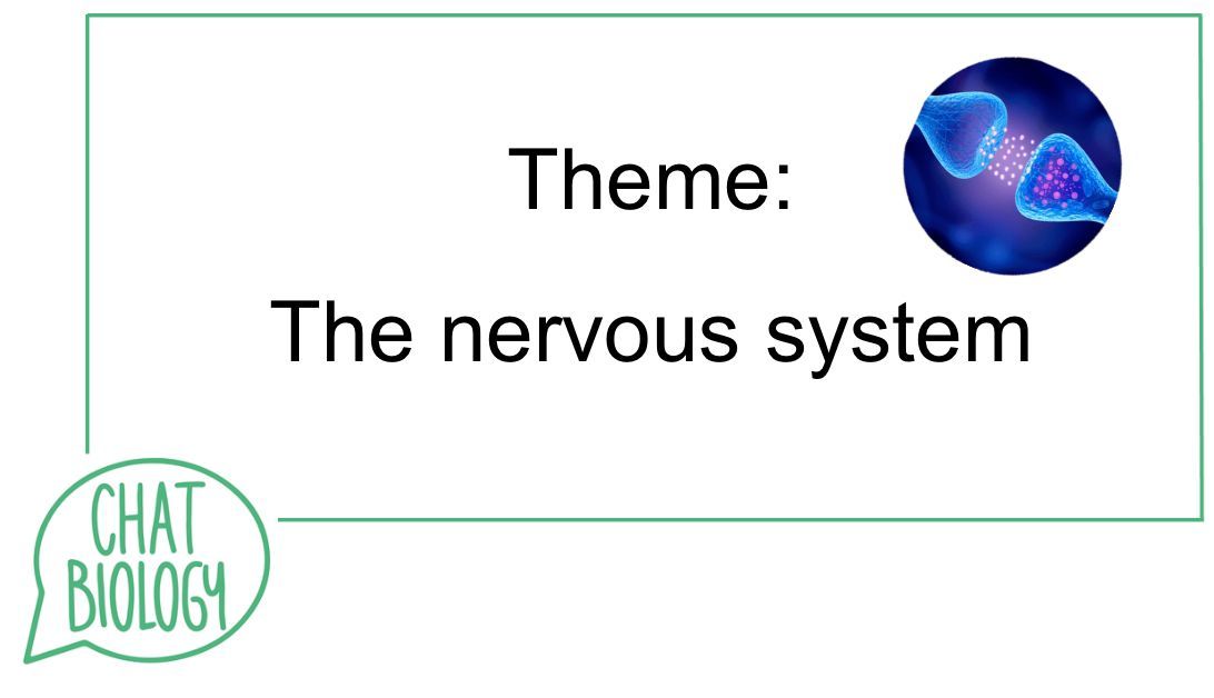 Chat Biology tweet media
