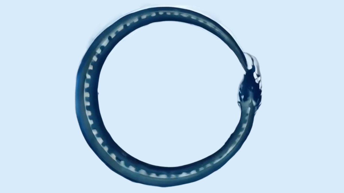 What is reality? And is there just one reality or many, perhaps infinitely many? In this essay first published by <a href="/NautilusMag/">Nautilus Magazine</a>, SFI researchers David Krakauer and David Wolpert explore how scientists tend to think about reality. santafe.edu/news-center/ne…