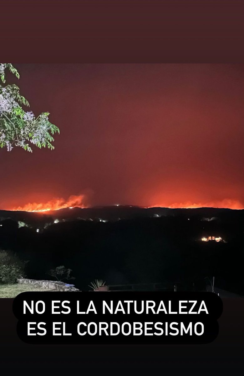 Nunca es triste la verdad….