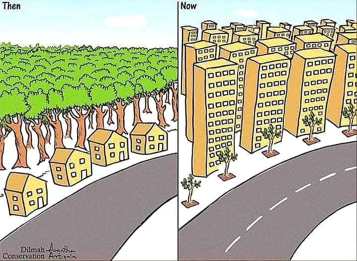 Ahmaklar için uygarlık yüksek binalardan ibarettir.
Marcus Porcius Cato - Romalı Devlet Adamı