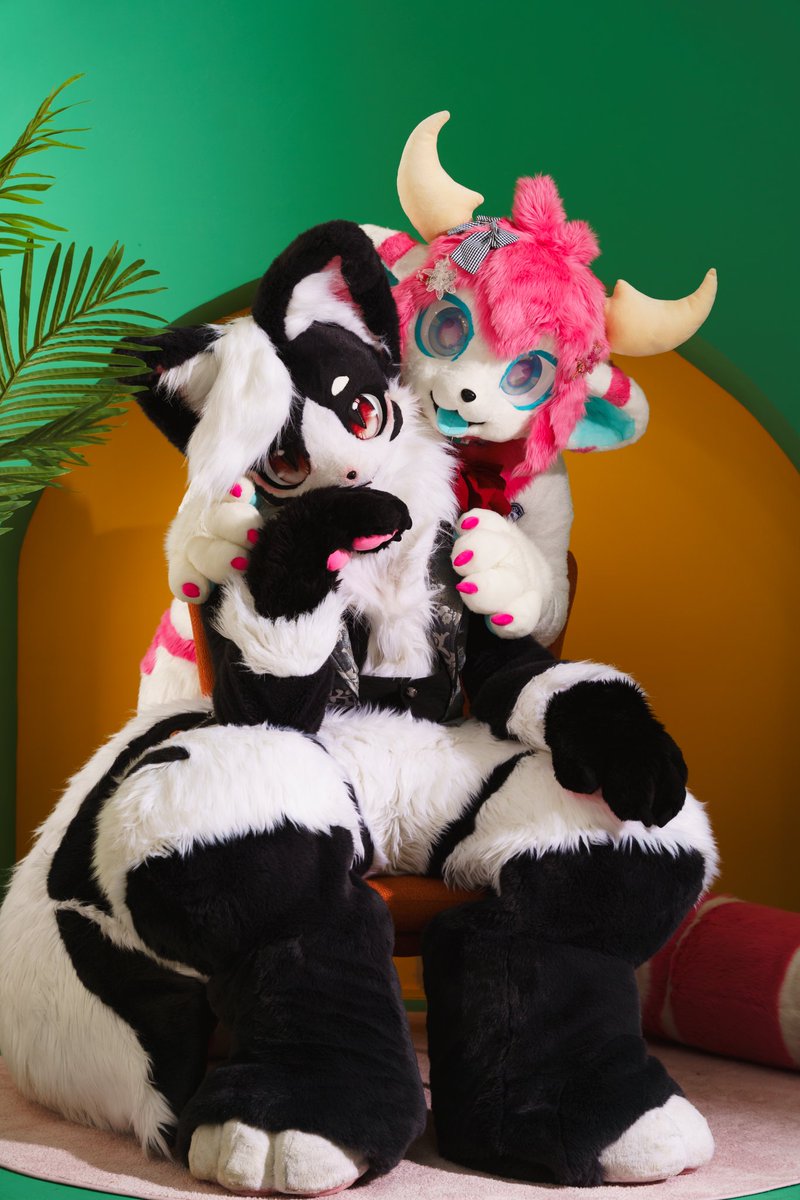 Aru_Fur's tweet photo. 완젼 가족사진이잖아👀👀

#FursuitsEveryday https://t.co/wRvSmzJobK