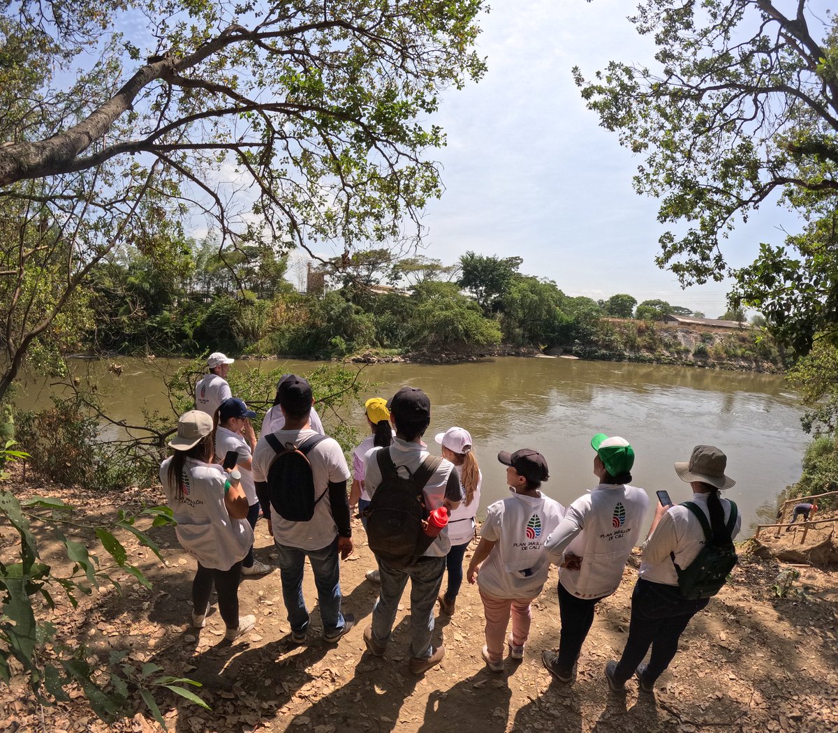 Plan Jarillón de Cali tweet media