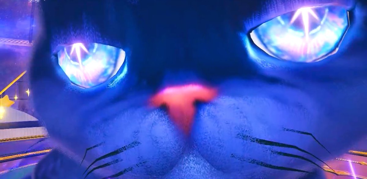 asuka_cdb's tweet photo. @cookie50820649 アズレアの猫の家〜
(°∀°)ﾋｨｨｨｨw https://t.co/tOwXiCGRKO