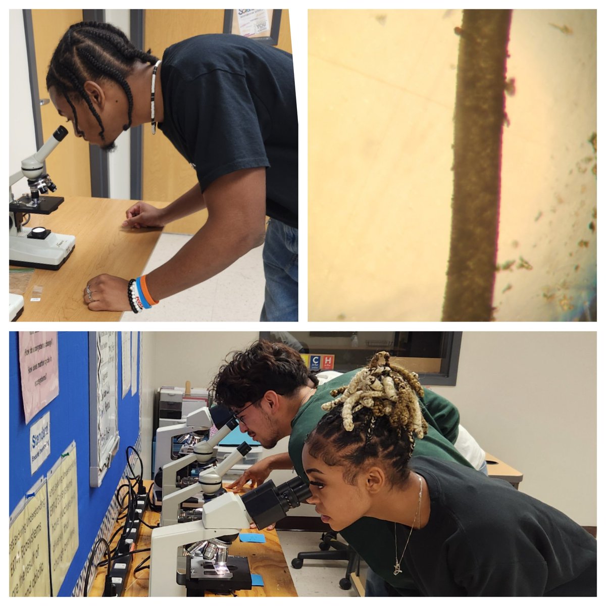 stokes_suzanne's tweet photo. Oh DEER!!! Someone hit an unidentified animal on their way to work, and NCCA Forensics associates stepped in to find out what animal it was using their knowledge of hair evidence!
#myncca
#nccapride https://t.co/2oMpbxsAcx