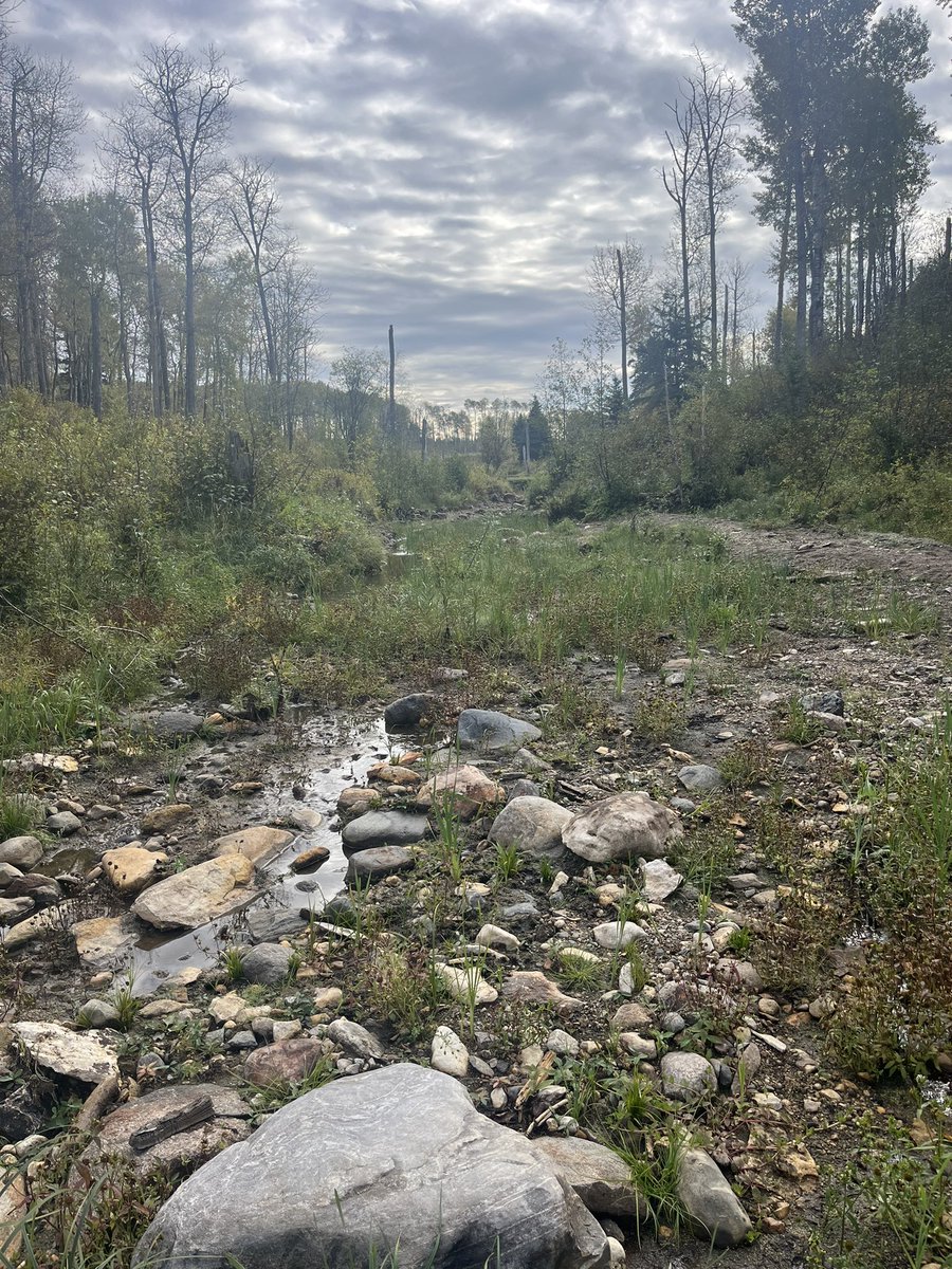 Prairieboy2's tweet image. What a great 10 days. It’s always sad to leave 🥲